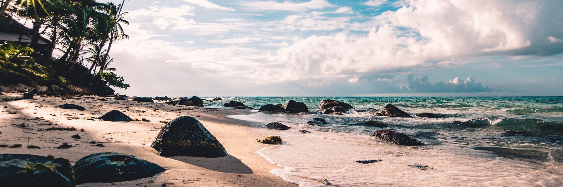 beach front with rocks leading to ocean next to large palm trees