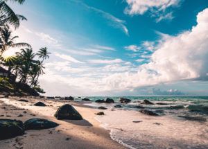 beach front with rocks leading to ocean next to large palm trees