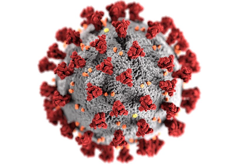 coronavirus molecule